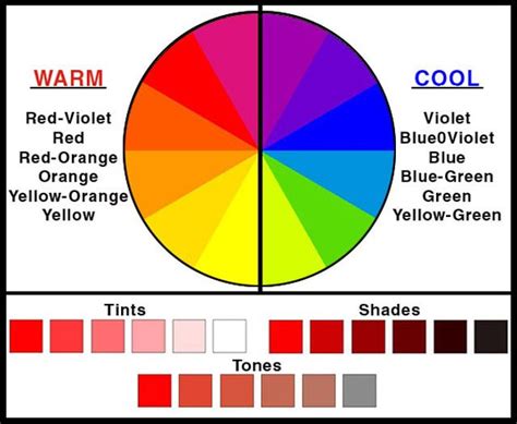 Web Development Warm And Cool Colors Summer Color Palettes Color Wheel