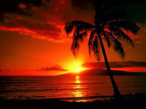 Hawaii Beach Sunset Free Stockphoto