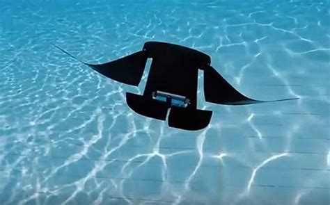 Swimming Surveillance Robot Mimics Manta Rays Stars And Stripes