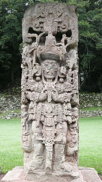 Mayan Stelae Stock Photos Pictures And Royalty Free Images Istock
