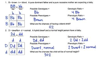 Practice With Monohybrid Punnett Squares Packet Answer Key Semanario Worksheet For Student