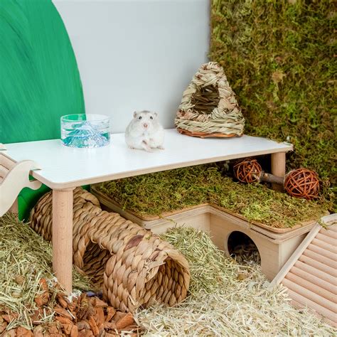 Niteangel Hamster Play Wooden Platform For Dwarf Syrian Hamsters Gerbi