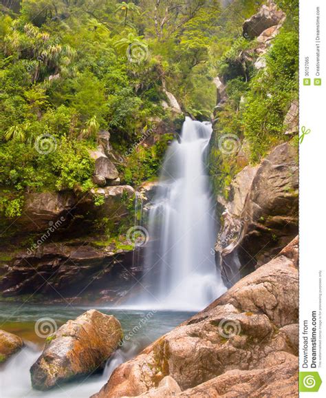 Rainforest Waterfall New Zealand Royalty Free Stock Photo