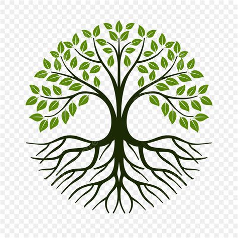 Tree Roots Logo Vector Png Images Root Tree Vintage Logo Design Vector