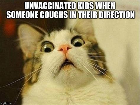 Kids Cough Cat Meme All About Logan