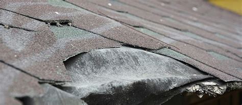 4 Signs Your Roof Shingles Are Going Bad Davis Roofing And Restoration