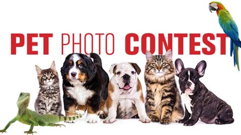 Pet Photo Contest And The Winners Are