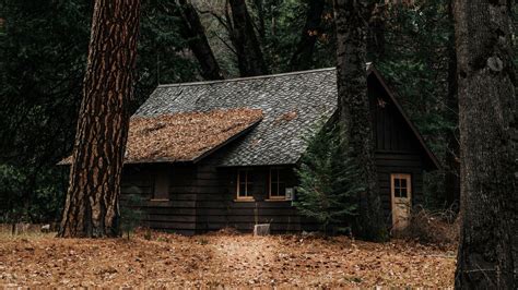 Download Wallpaper 1920x1080 House Forest Solitude Woodland Autumn
