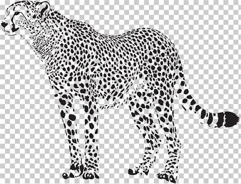 3155+ Cheetah Print Free Svg File for Cricut