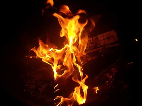 Free Photo Campfire Fire Burning Flame Bonfire Heat Burn Hippopx