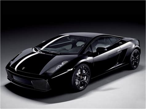 New Introduction Lamborghini Gallardo