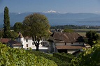 Château Le Rosey | Switzerland Tourism