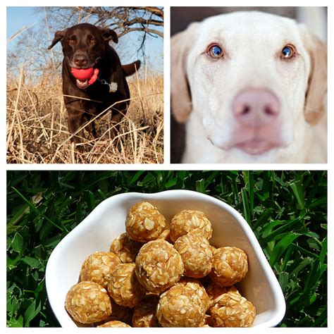 No Bake Peanut Butter Balls Dog Treat Recipe Peanut Butter Balls