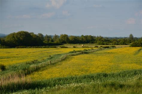 Newport District Grassy Fields Lewis Clarke Cc By Sa Geograph Britain And Ireland