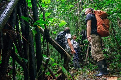 How To Survive In The Jungle A Guide For Adventurous Spirits