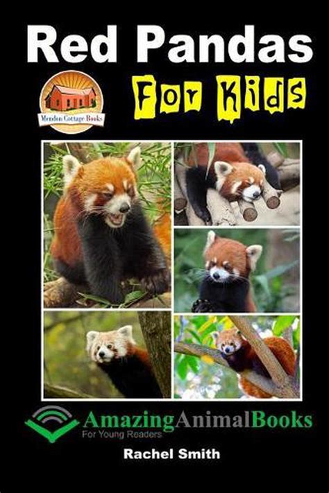 Red Pandas For Kids By Rachel Smith English Paperback Book Free