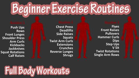 The best workout routine for true beginners is rather subjective to what the beginner is comfortable doing and their understanding of how to perform exercises. Beginner Full Body Exercise Routines Workouts - Basic ...