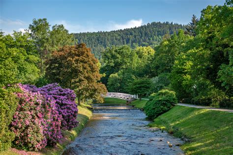 Black Forest In Germany And Its 6 Most Beautiful Spots First Styler
