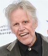 Gary Busey net worth, son, career, accident, movies, teeth, now ...