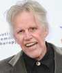 Gary Busey net worth, son, career, accident, movies, teeth, now ...