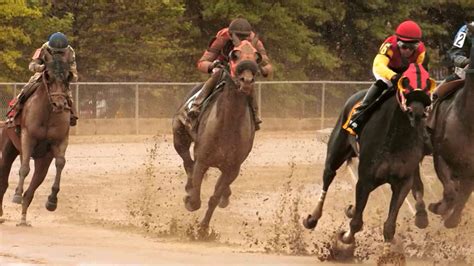 There is a great deal more to horse racing than just the winners crossing the finish line, or the sad moments where a horse falls and has to retire. Horse racing in slow motion - running horses - YouTube
