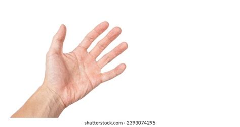 15440 Left Hand Palm Images Stock Photos 3d Objects And Vectors
