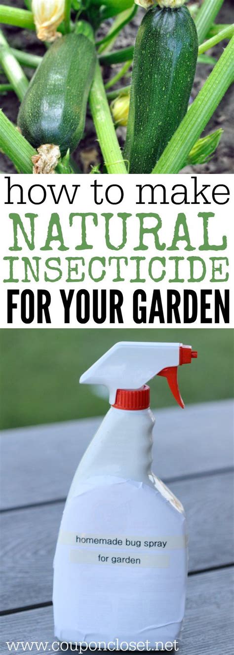 Apr 24, 2013 · how to use bt pesticide as an organic pest control. How to make Homemade Insecticide - all natural pesticide | Homemade insecticide, Organic ...