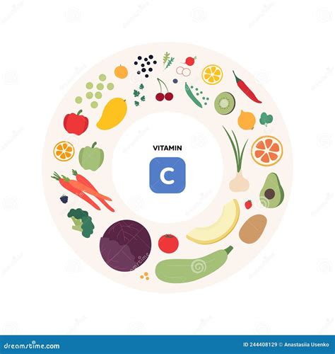 Healthy Food Guide Concept Vector Flat Illustration Infographic Of C