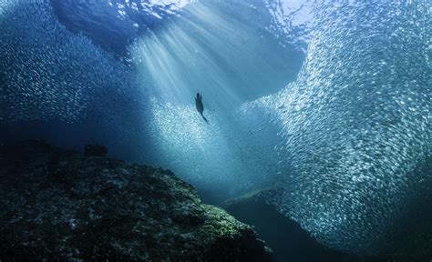 10 Threats To Ocean Life