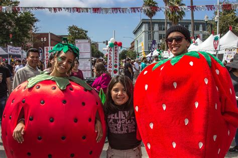 The festival attracts over 150,000 people every year. | Watsonville