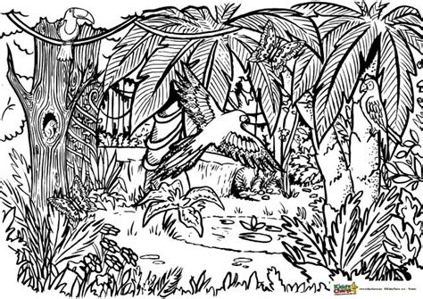 Jungle Coloring For Adults And Kids Kiddycharts Coloring