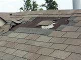 Roofing Contractors Marin County Photos