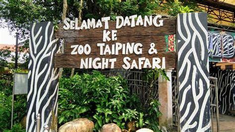 Zoo taiping & night safari, taiping, perak. Zoo Taiping & Night Safari (Malaysia): Top Tips Before You ...