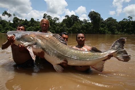 He is best known for his television series fish warrior, shown on national geographic channel. Hangin' with "Big Fish Man" - Jakub Vágner