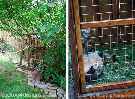 Easy Diy Cat Enclosure To Keep Your Indoor Cats Happy And Safe