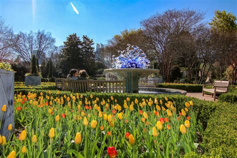 Atlanta Botanic Gardens Photos