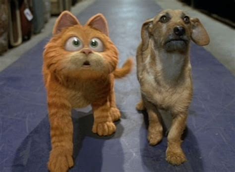 Real Cats That Look Like Garfield