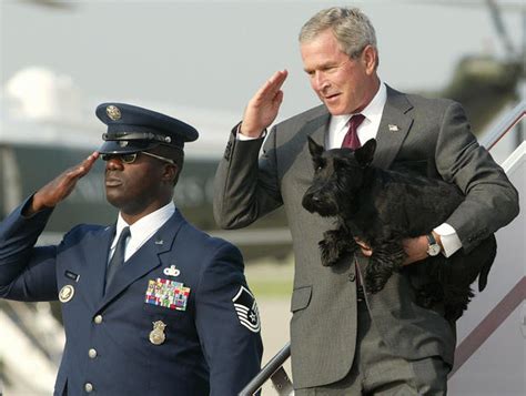 Barney George W Bushs Dog Dies Photo 8 Pictures Cbs News