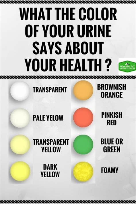 What The Color Of Your Urine Says About Your Health New Healthy
