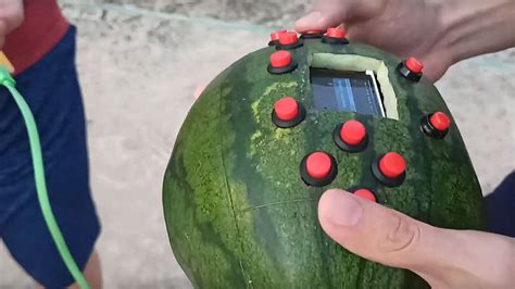 Behold The Worlds First Watermelon Game Boy And Yes Its A Real