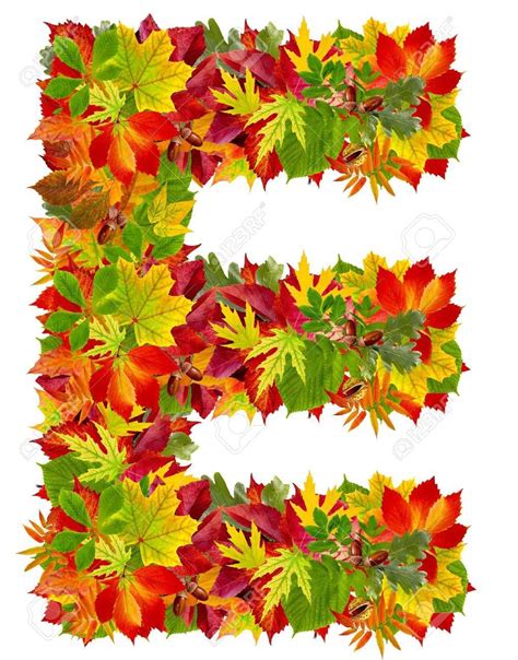 E Autumn Alphabet Isolated On White Stock Photo Picture And Royalty