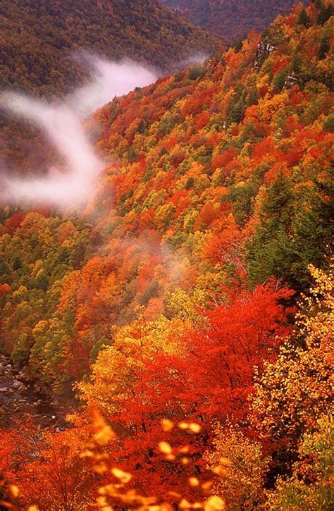 Blackwater Falls Canyon