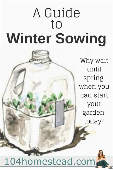 A Guide To Winter Sowing Starting Seeds In Winter