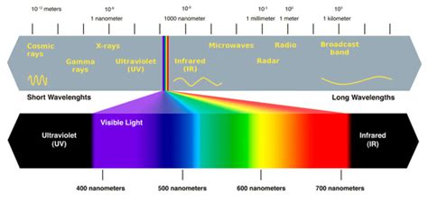 Physics Bioluminescence