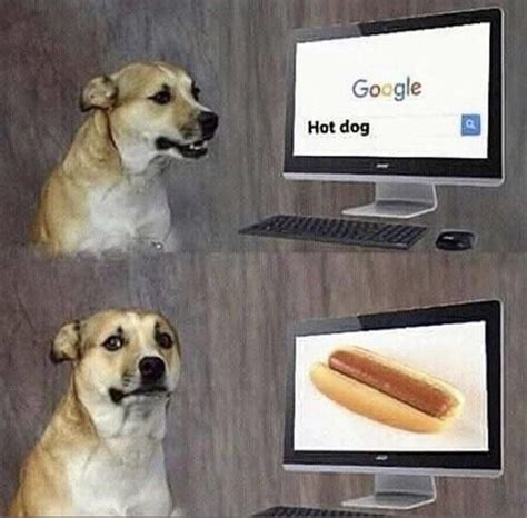 Disappointed Doggo Meme Guy