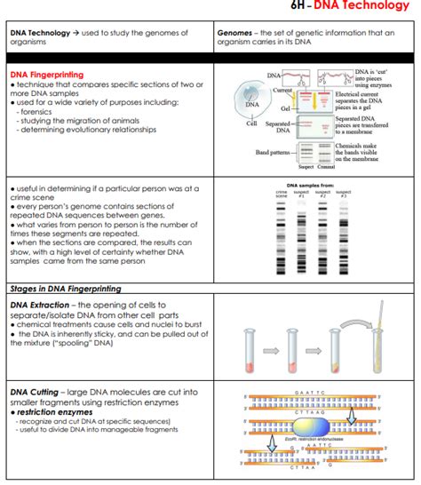 Artificial chemistries q1 2021 earnings callmay 6, 2021, 4:30 p.m. Meiosis & Genetics - LPHS BIOLOGY STAAR REVIEW