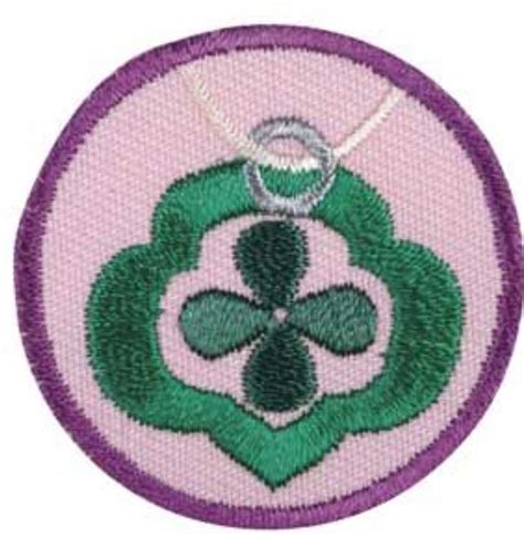 Jeweler Junior Badge Scouts Honor Wiki Fandom