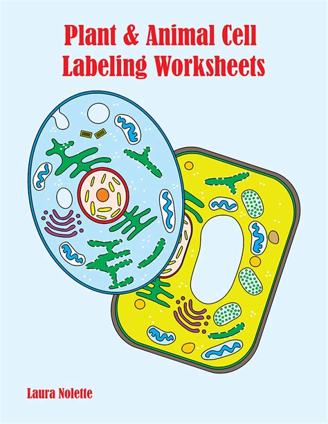 We did not find results for: Plant & Animal Cell Labeling Worksheets - Powerline ...