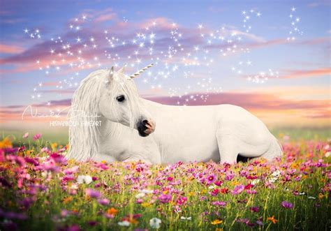 White Realistic Unicorn Background Unicorn Digital Backdrop Etsy
