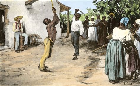 Amos y esclavos la vida en una plantación de algodón americana